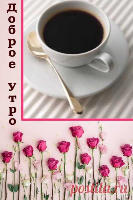 (144) Pinterest