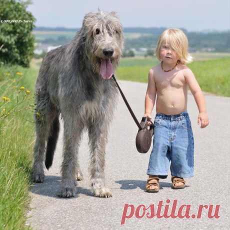 О ЖИЗНИ - 2582 фото. Фотографии Сергей Бранчуков.