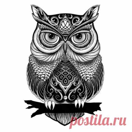 Тату сова: значение, фото, эскизы, примеры
