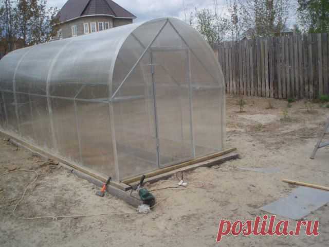 Теплица своими руками (57 фото) » abunda.ru - скучать не придется!
