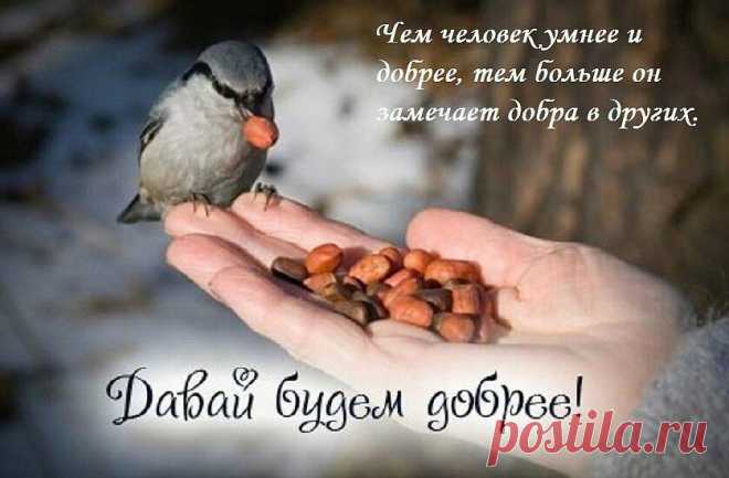 Мир спасут доброта и любовь! » Женский Мир