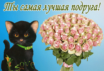 Ты самая лучшая подруга! - Плейкасты