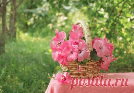 Покажите этому миру свое хорошее настроение, улыбку и 
позитив!