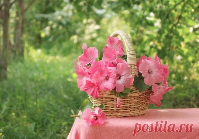 Покажите этому миру свое хорошее настроение, улыбку и 
позитив!