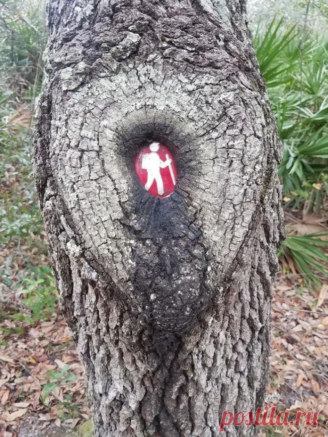 81ad25bd5203238b65d869608ddad915.jpg (700×933)