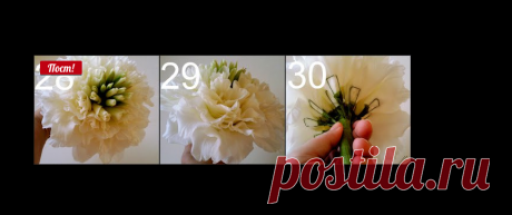 Гламелия. МК и роскошные букеты д..