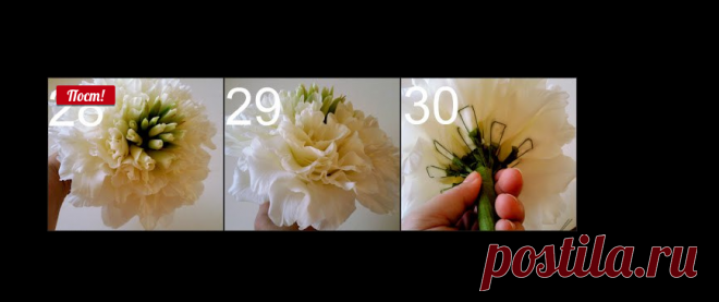 Гламелия. МК и роскошные букеты д..