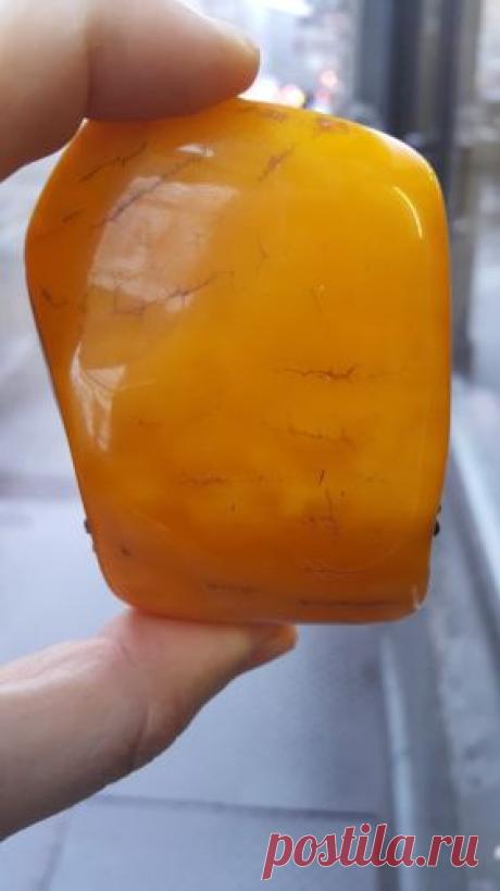 Natural Old Antique Yellow Butterscotch Egg Yolk Baltic Amber Stone 67 55 GR | eBay