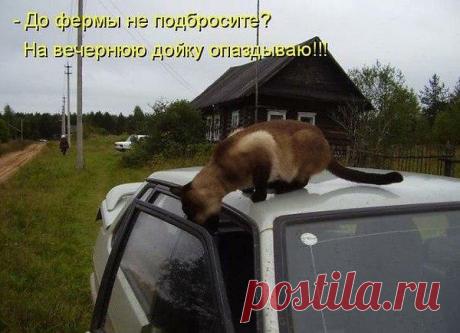 Интересные новости