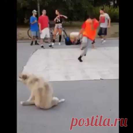 Я тоже так умею!
