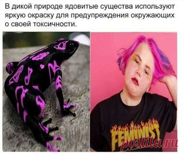 Феминизм в мемах и злободневных шутках . Тут забавно !!!