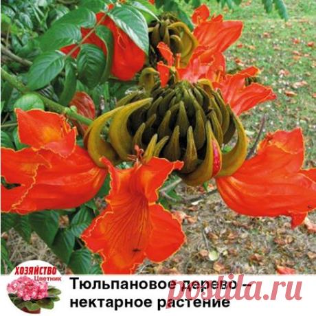 (3) Еженедельник Хозяйство