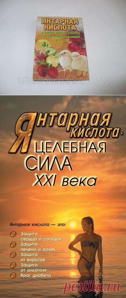 О чем умалчивают врачи. Янтарная кислота -
