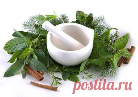 Лекарства для растираний.