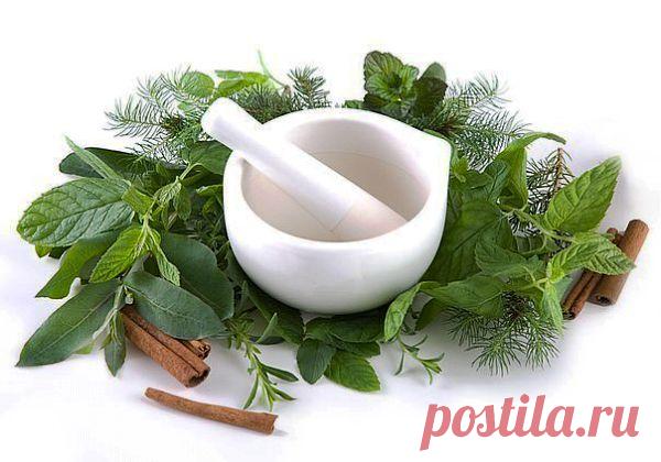 Лекарства для растираний.