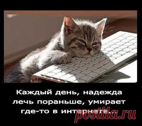 И так каждый день))