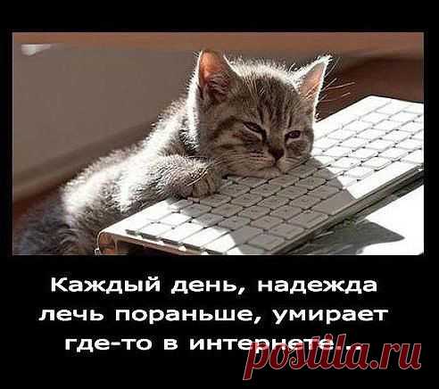 И так каждый день))