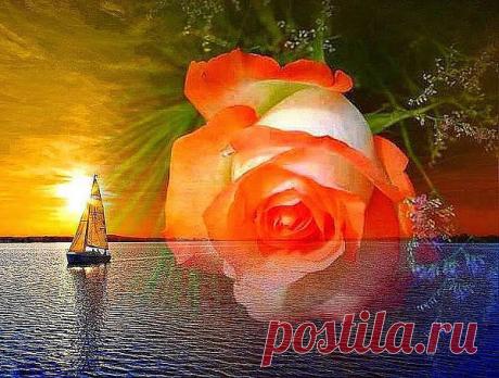 Знаю, так часто в жизни бывает
Брод не найти между двух берегов:
Тех, кого любим, нас отвергают,
Сорванной розой, кидая любовь