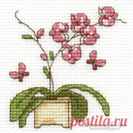 Gallery.ru / Фото #10 - DMC - bobrika