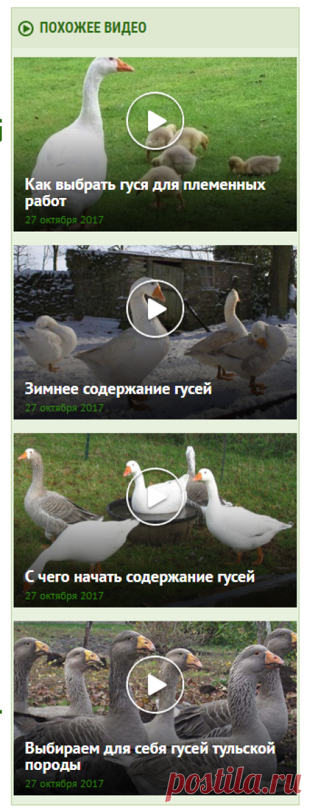 Температура в инкубаторе для куриных яиц, температурный режим для разных этапов развития и вывода цыплят, таблица температур, видео