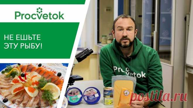 ОТРАВА НА НОВОГОДНЕМ СТОЛЕ. Какая рыба вредна для здоровья? ✿Приобретая растения в магазинах Procvetok вы помогаете развитию канала! ✔Беларусь: https://procvetok.by/ ✔Россия: https://procvetok.ru/ ✔Казахстан: https://...