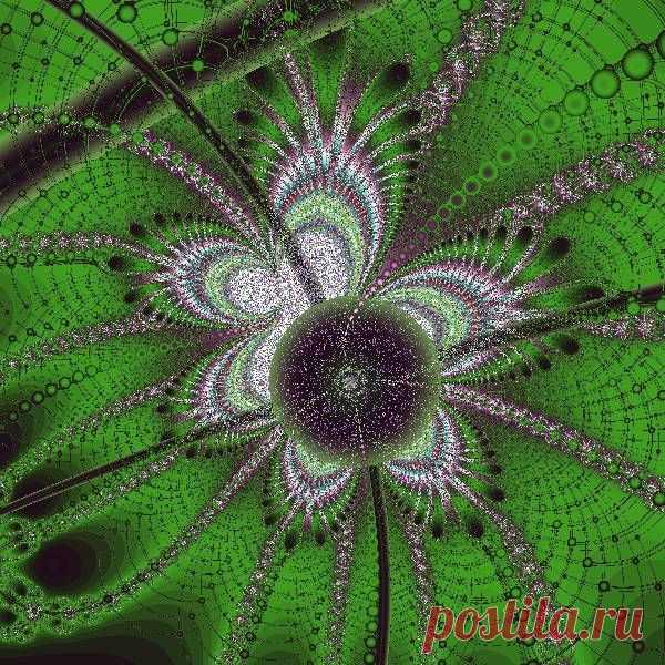 Фрактал, сделан в программе Fractal Explorer