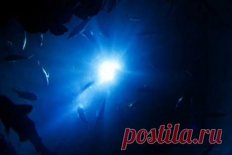 2022-В Марианской впадине произошло почти две тысячи землетрясений за полгода Анализ сейсмической активности в зоне субдукции Марианской впадины&nbsp;показал, что поступление воды в мантию в этом районе осуществляется гораздо активнее, чем считали ученые до сих пор. Статья по теме появилась на страницах научного издания Geophysical Research Letters.Ученые...