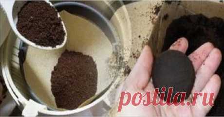 Знаете ли вы, что кофейная гуща имеет другие цели за пределами вашей чашки? Сегодня мы узнаем больше об удивительном использовании кофейной гущи!Используйте кофейную гущу в качестве избавления ваш