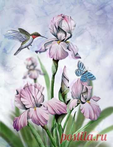 (593) Pinterest