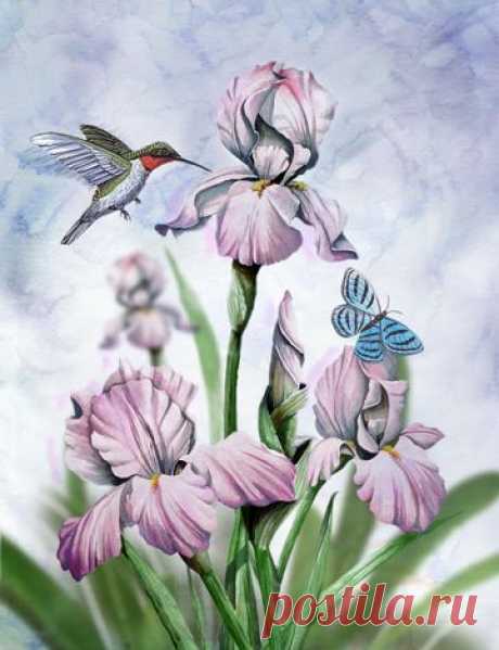 (593) Pinterest