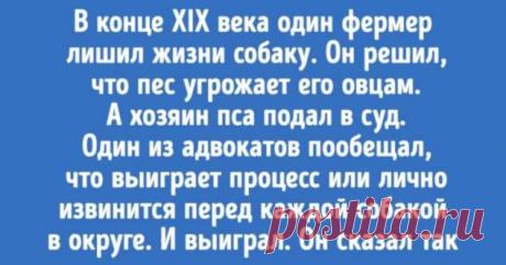 «На том свете нас встретят наши собаки». Сильная история о настоящей любви . Милая Я