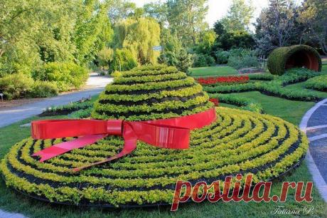 Дачные хитрости