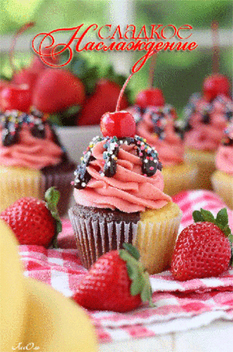 ༺💕༻༺💕༻༺💕༻༺💕༻༺💕༻༺💕༻༺💕༻༺💕༻༺💕༻༺💕༻༺💕༻ О, Женщины! Скажите мне, Вы ж не молоденькие дуры, Чтоб ради тоненькой фигуры Готовы ... Блог SOUL - Мой Мир@Mail.ru ༺💕༻༺💕༻༺💕༻༺💕༻༺💕༻༺💕༻༺💕༻༺💕༻༺💕༻༺💕༻༺💕༻ О, Женщины! Скажите мне, Вы ж не молоденькие дуры, Чтоб ради тоненькой фигуры Готовы ...  Блог SOUL в социальной сети Мой Мир