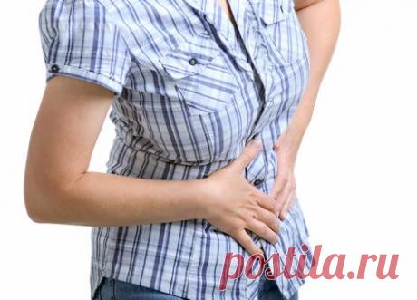 Как цикорий действует на пищеварительную систему?