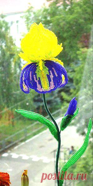 Ирис из бисера МК И.Ивановой.
