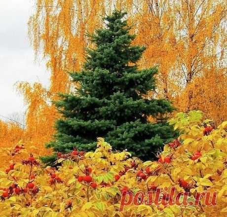 Интересные новости