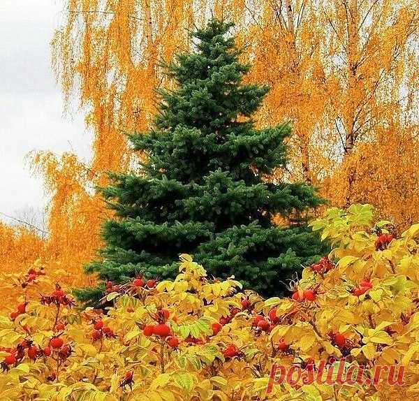 Интересные новости