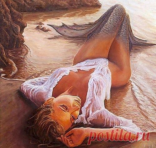 (2) Одноклассники