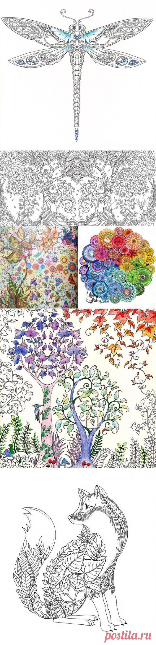 Эта художница создала раскраску для взрослых и уже продала более миллиона копий / Surfingbird - мы делаем интернет лучше