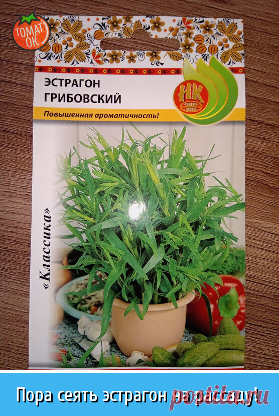 Эстрагон- это многолетнее растение с темно-зелеными листочками, растет кустами высотой до 1 метра. Листья очень нежные, имеют сильный аромат, слегка с горчинкой , с небольшим анисовым привкусом. В Грузии очень ценится это растение. Второе его название Тархун под которым мы его больше знаем.

Используют в кулинарии повсеместно в салатах, мясных блюдах, соусах , заправках и солениях.

Сортов не очень много : Французский, Русский, Грибовский, Валковский, Добрыня, Монарх и т. ...