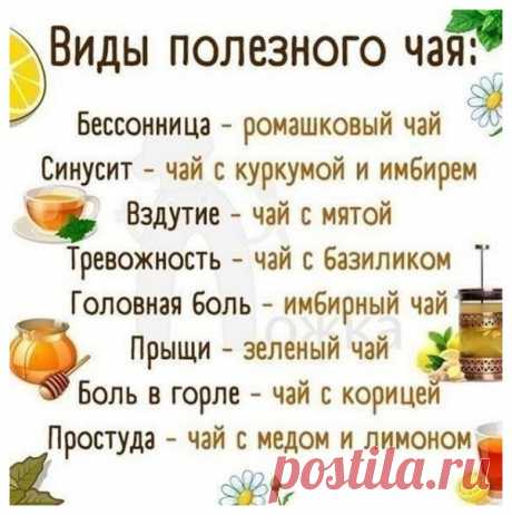 Виды полезного чая