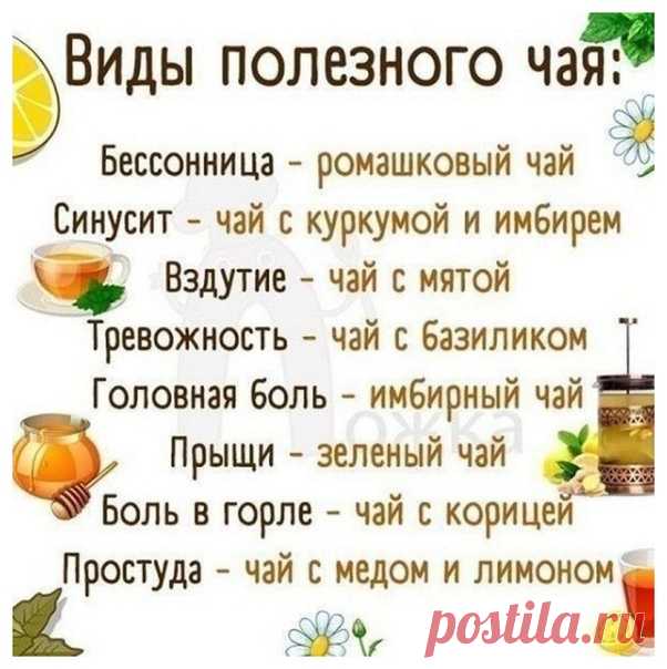 Виды полезного чая