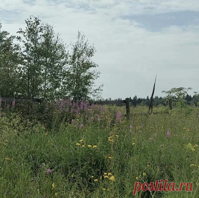 Вязаный детский плед и просто жизнь! | Дзен