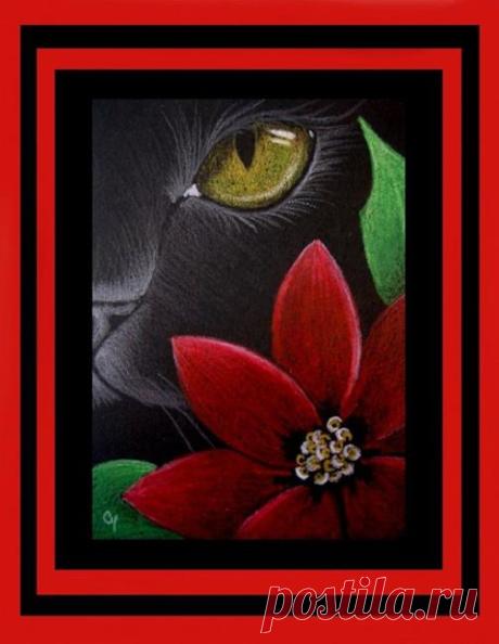 Cat Behind The Poinsettia Flower 4 (SOLD)