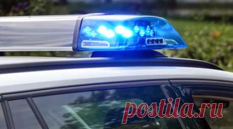 Полиция в Херсонской области обнаружила гараж с 59 кг марихуаны. Гараж с 59 кг марихуаны обнаружили сотрудники полиции Херсонской области в городе Геническе. Читать далее