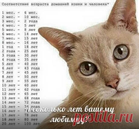 (6) Facebook