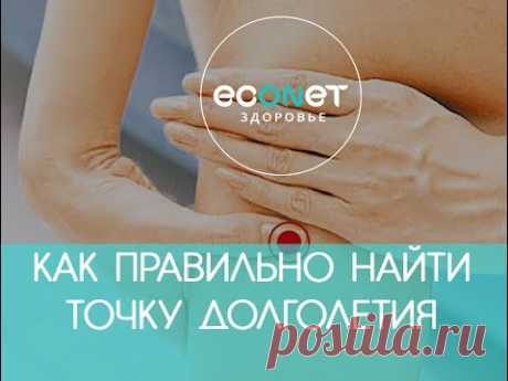КАК ПРАВИЛЬНО найти точку ДОЛГОЛЕТИЯ - точку от 100 болезней | econet ru