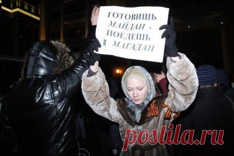 Поцреот Реальный