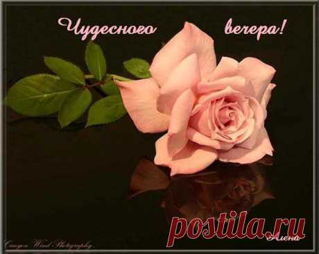 1951f7164661.jpg (640×509)