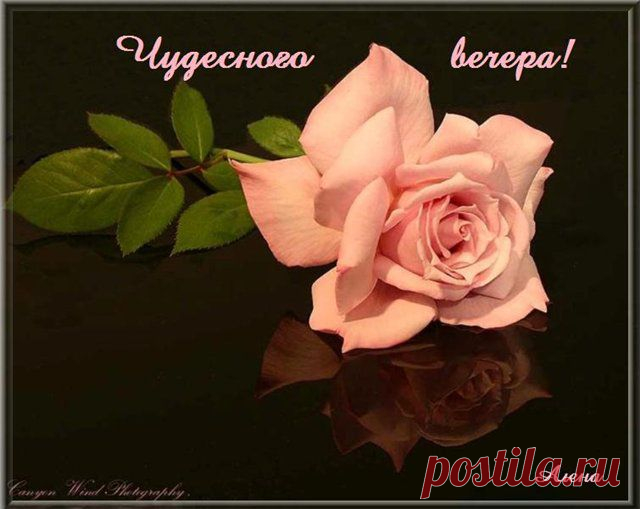 1951f7164661.jpg (640×509)
